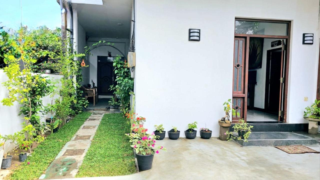 Aloe Vera Villa 尼甘布 外观 照片
