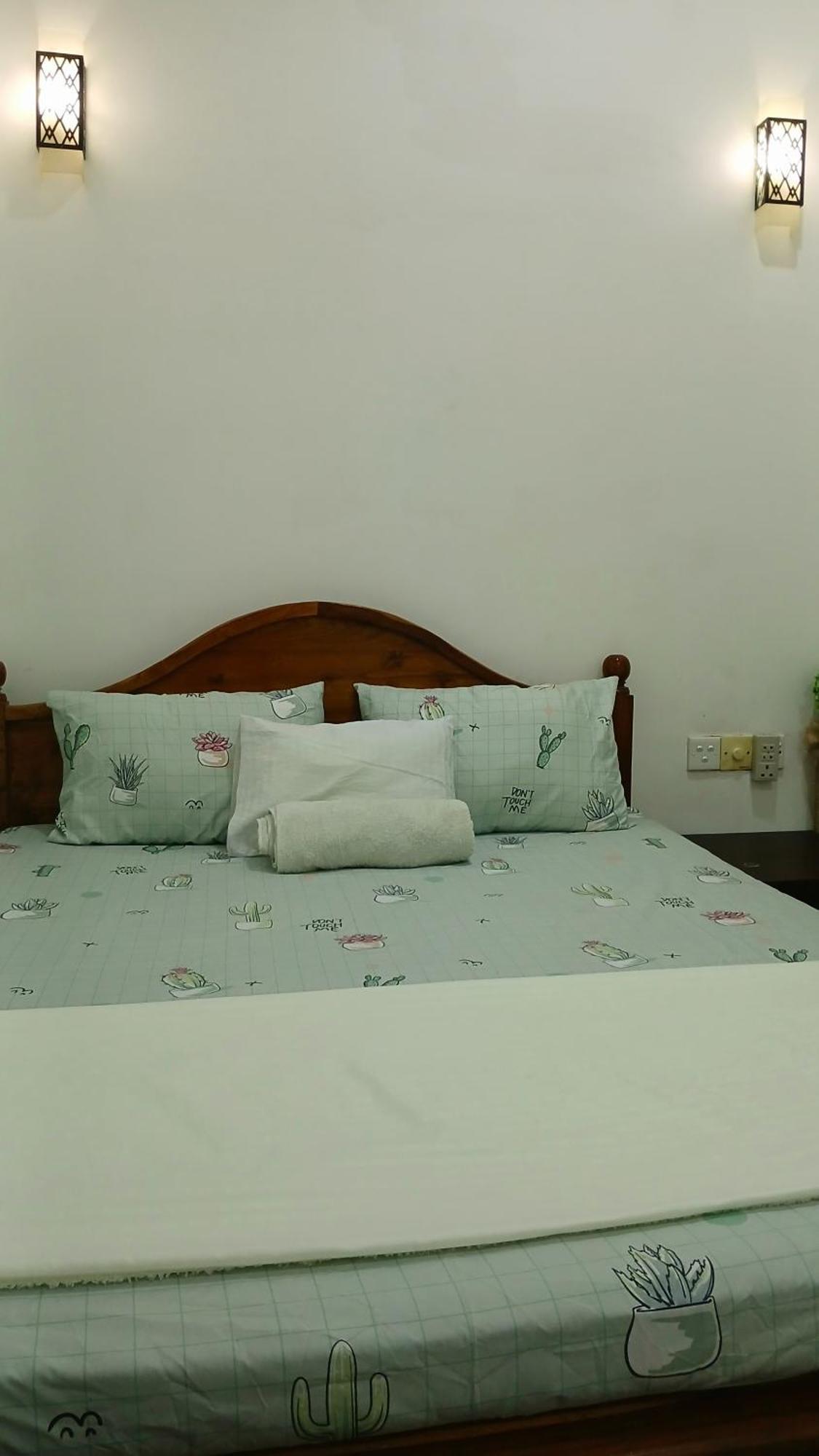 Aloe Vera Villa 尼甘布 外观 照片