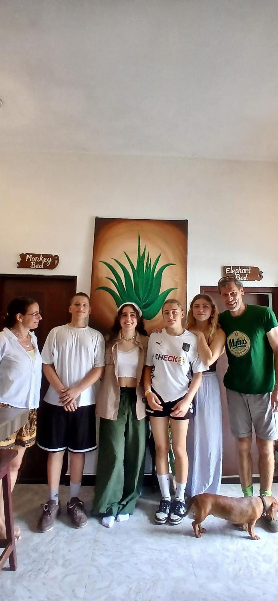 Aloe Vera Villa 尼甘布 外观 照片